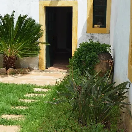 Quinta Da Palmeirinha Holiday home