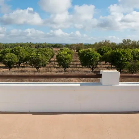 Holiday home Quinta Da Palmeirinha Silves