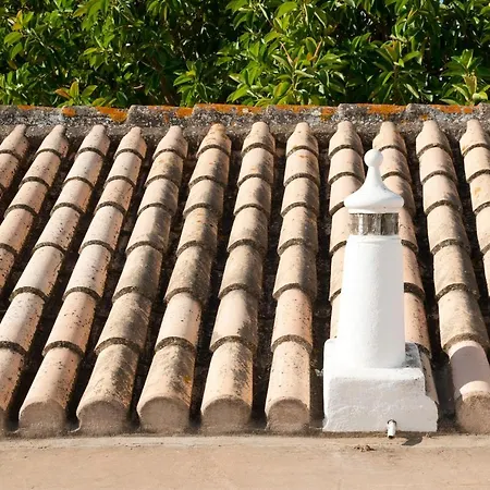 Quinta Da Palmeirinha Holiday home *