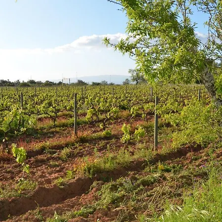 Quinta Da Palmeirinha * Silves