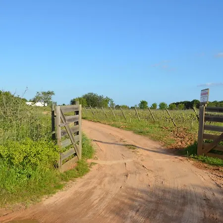 Quinta Da Palmeirinha *