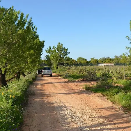 Quinta Da Palmeirinha Silves