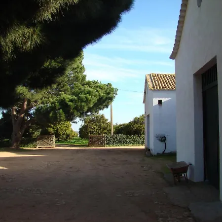 Quinta Da Palmeirinha Holiday home *