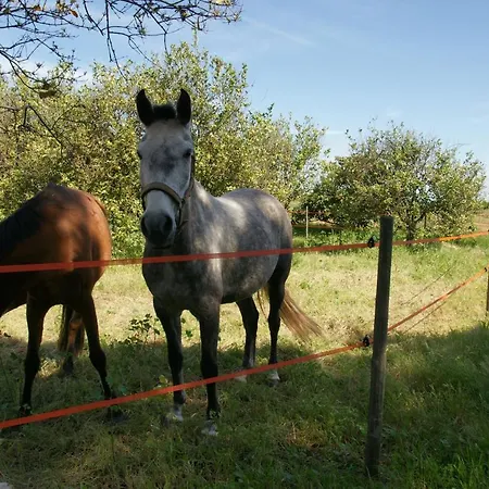Quinta Da Palmeirinha 度假居
